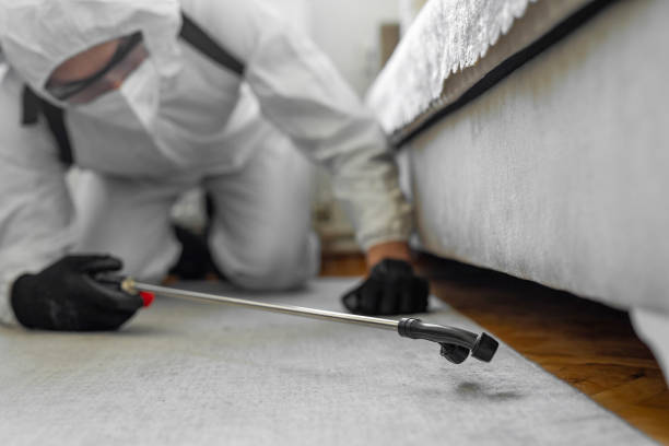 Professional Bed Bug Control technician working in Guadalupe County County, NM